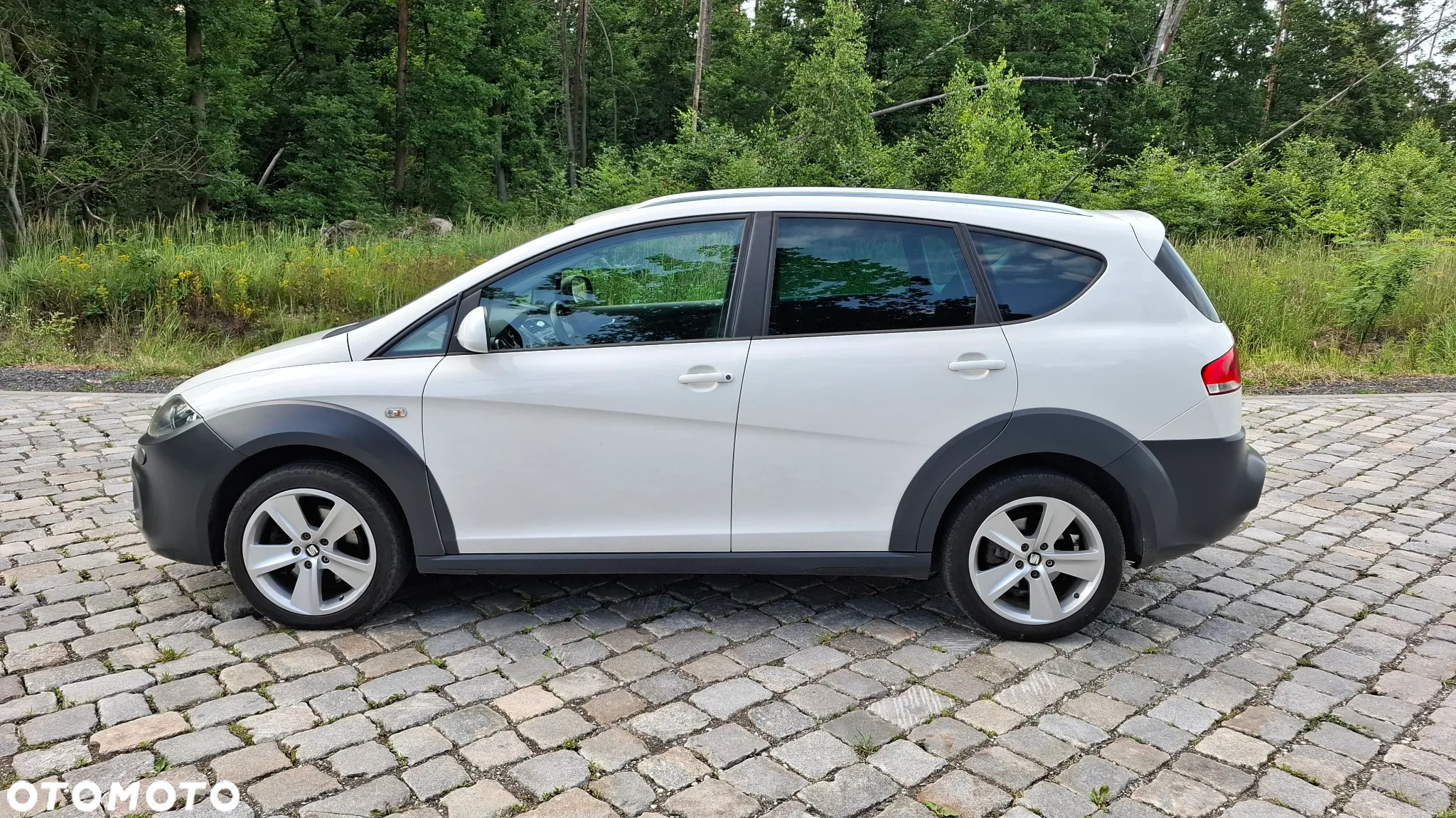 Seat Altea 2.0 TDI DPF 4x4 Freetrack - 12