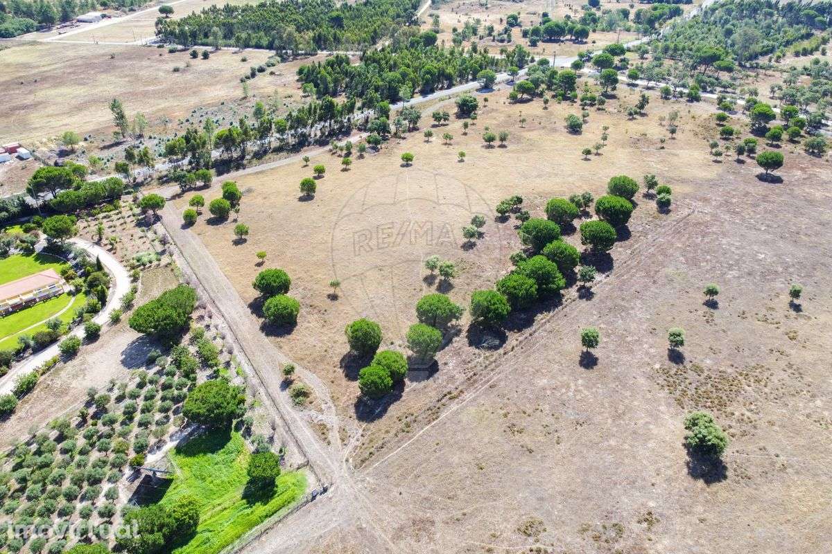 Terreno  para venda - Grande imagem: 4/8