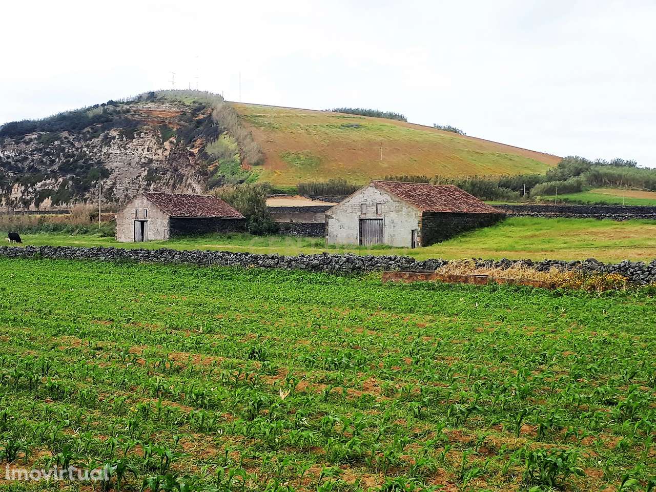 Propriedade Única com Mais de 18.000 m² Junto à Praia de Santana – Dua - Grande imagem: 2/15
