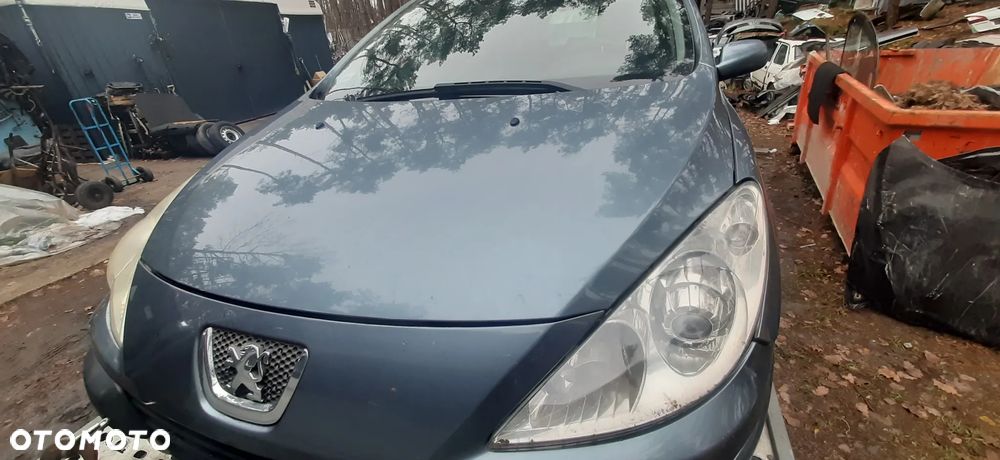 Peugeot 307 FL Lakier EZWD 2005-2008 307 SW Kombi Maska przód Drzwi przednie Drzwi Tylne SW Lampy Tył SW Belka tylnego zawieszenia Tarcze abs - 1
