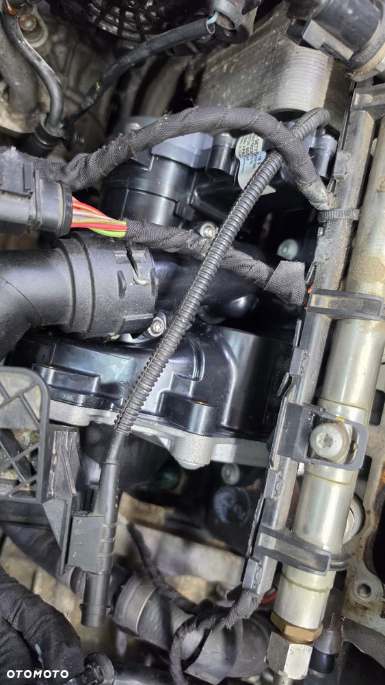 Volkswagen Golf - 27