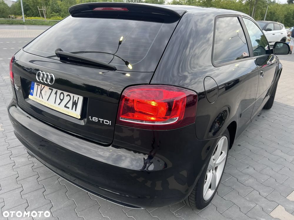 Audi A3 3-drzwiowe 1.6 TDI DPF Ambition - 10