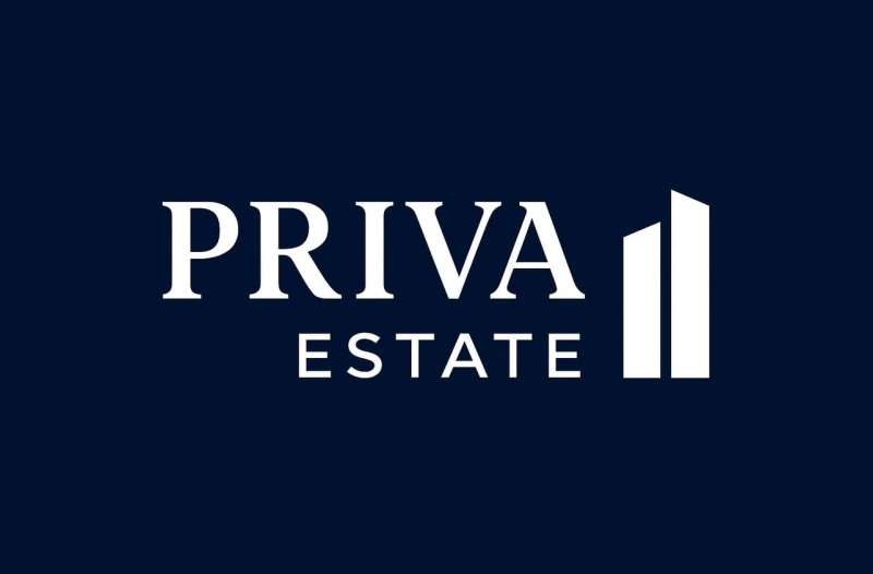 Victor Saulescu