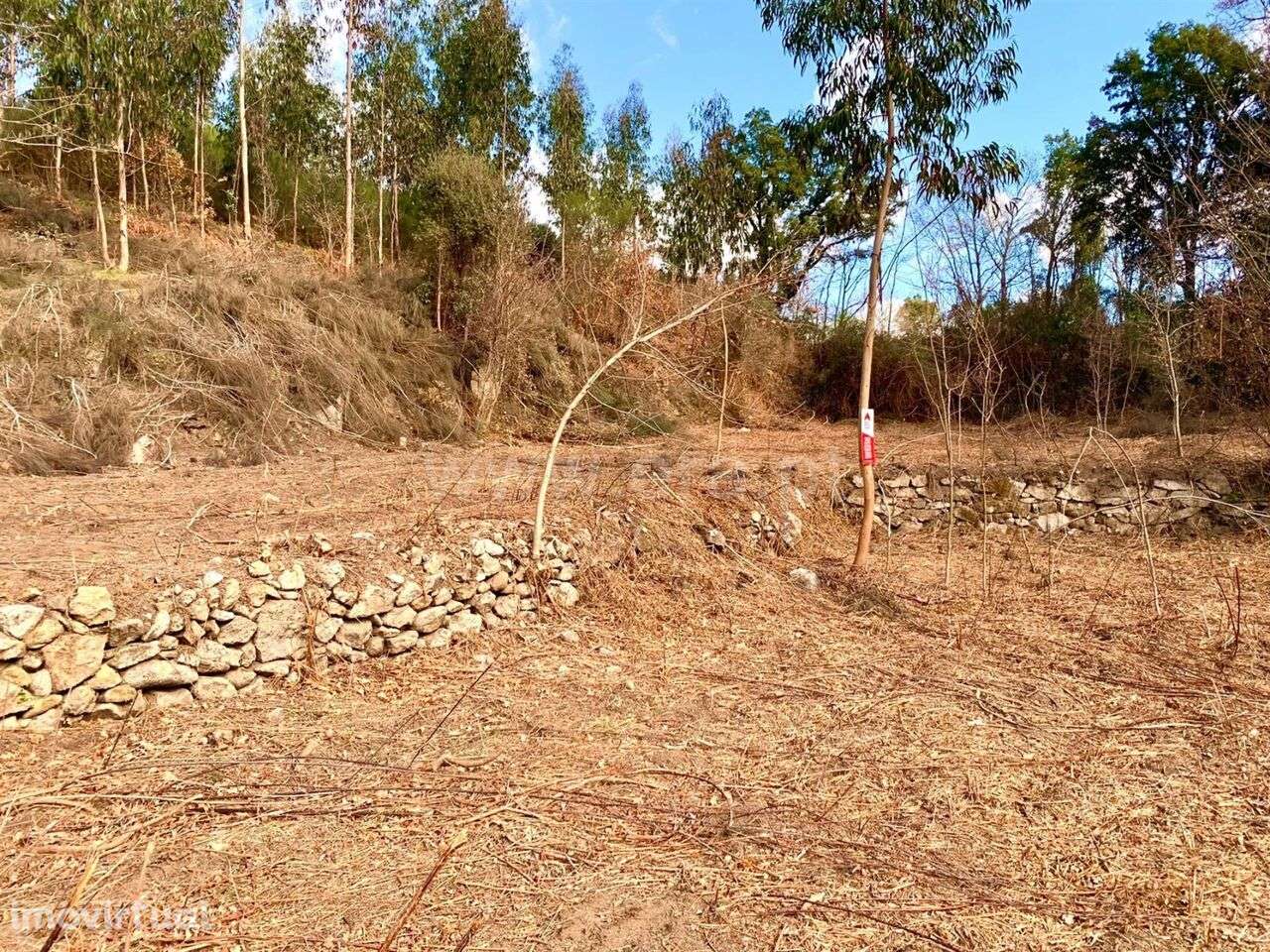 Terreno / Cinfães, Fornelos - Grande imagem: 2/8