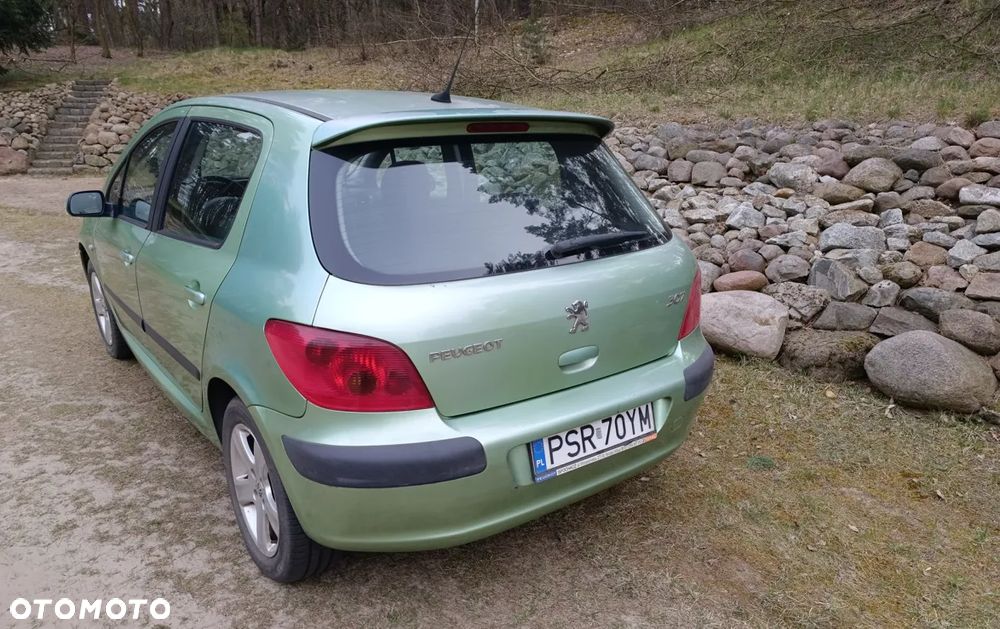 Peugeot 307 1.6 - 4