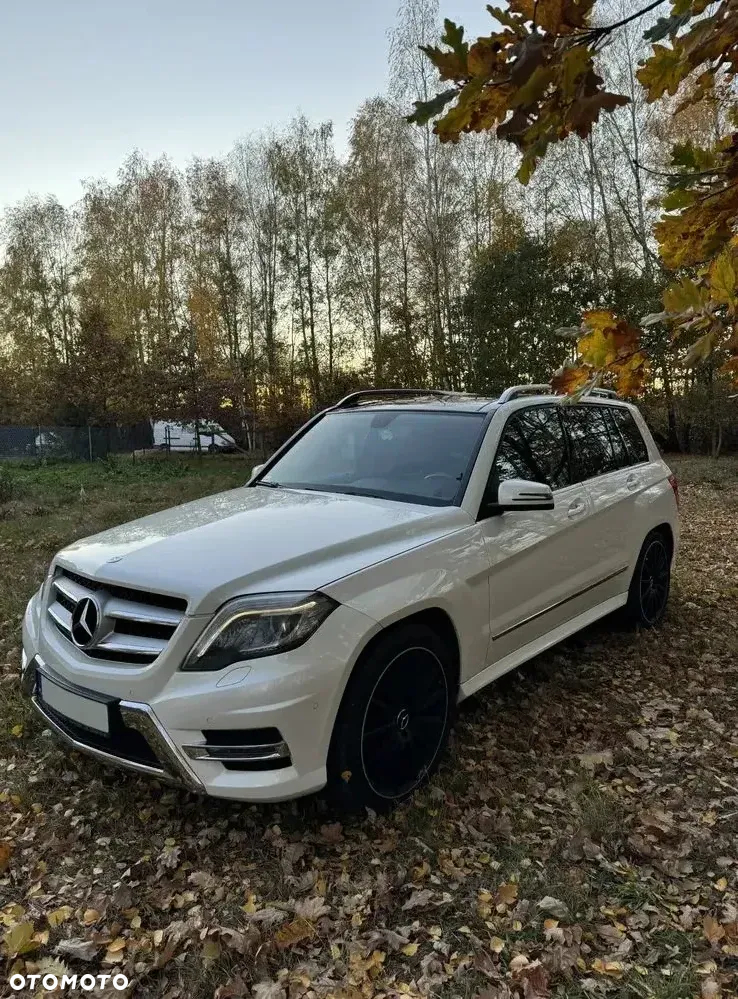 Mercedes-Benz GLK 220 CDI BlueTEC 4-Matic - 2