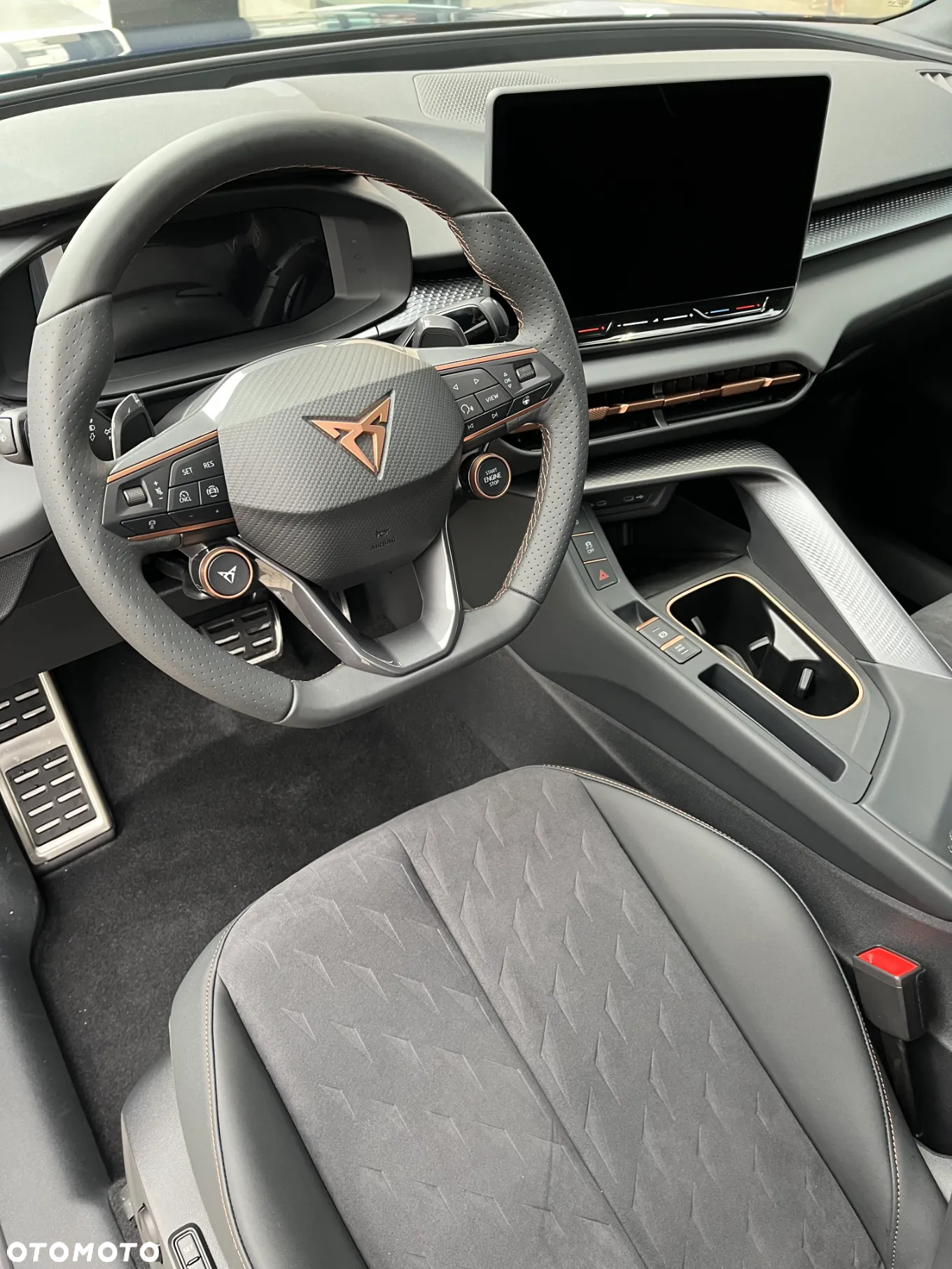 Cupra Terramar 2.0 TSI 4Drive DSG - 10