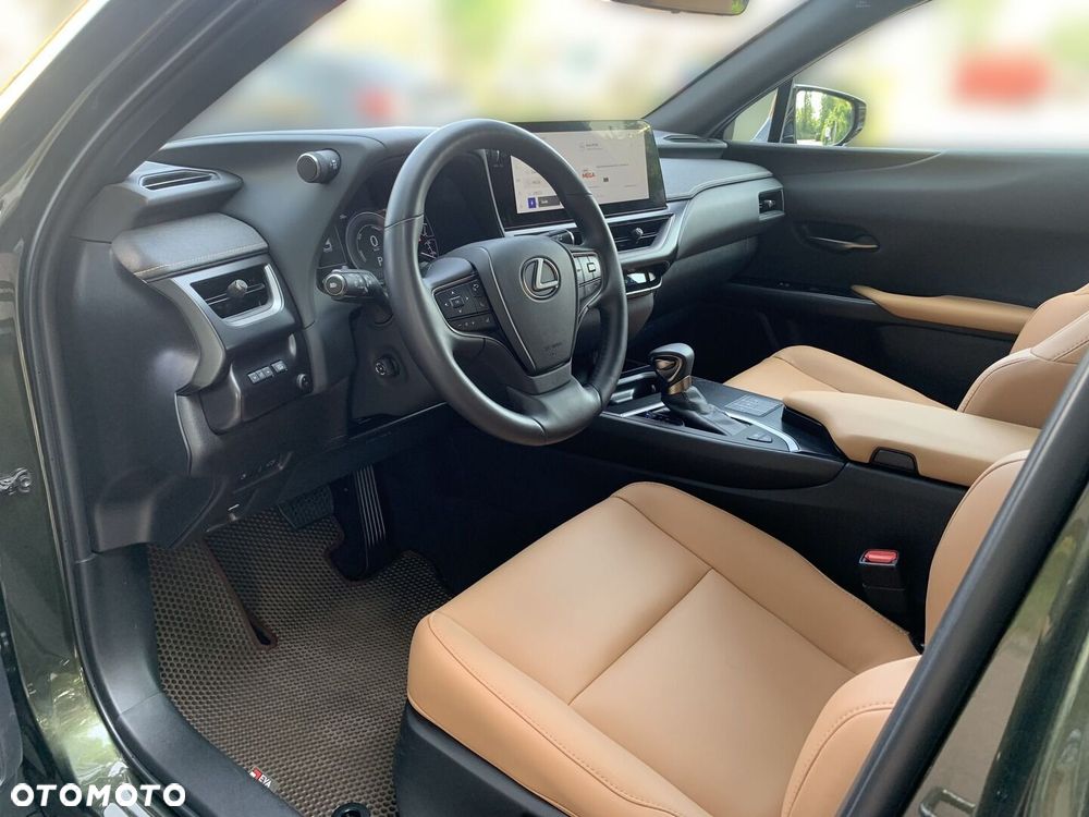 Lexus UX 250h GPF F Sport Design 2WD - 14
