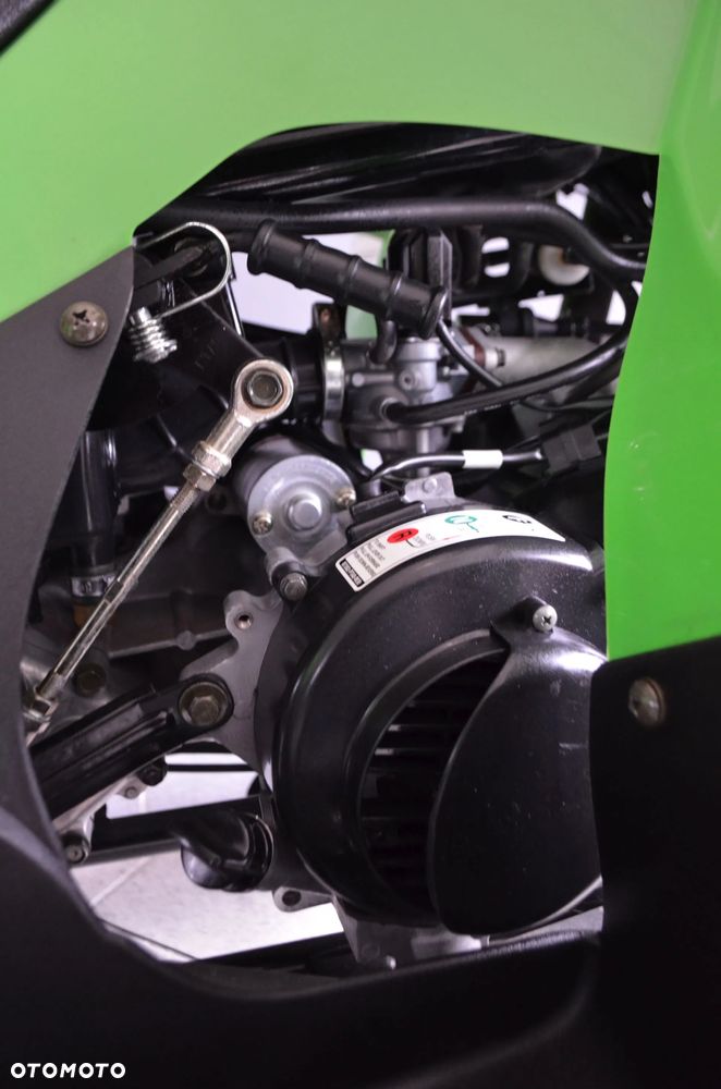 Arctic Cat Inny - 12