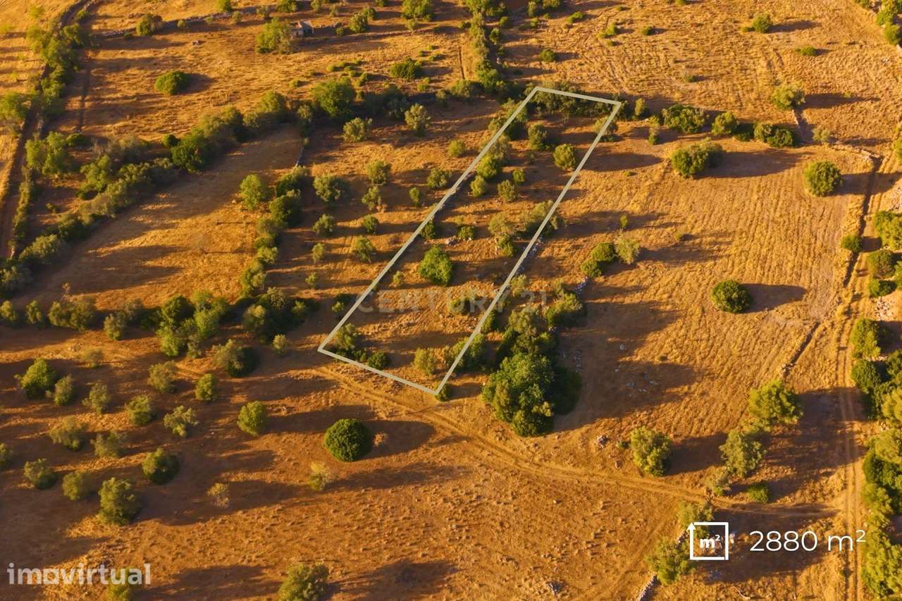 ✅ Terreno Rústico com 2.880 m² – Independência e Potencial de Expansão - Grande imagem: 2/8