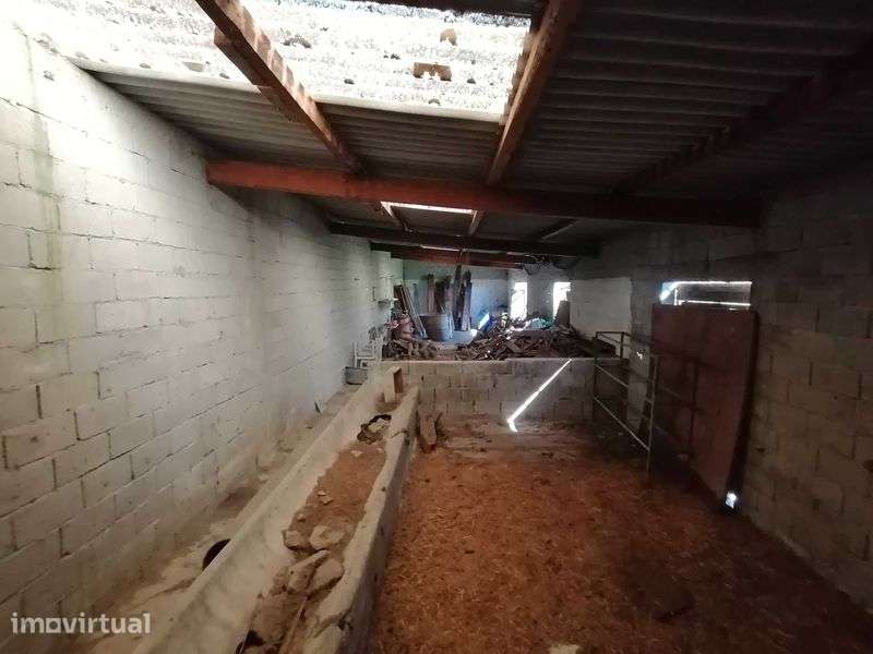 Alugo Terreno 6500m2 com anexo 100m2 - Grande imagem: 3/5