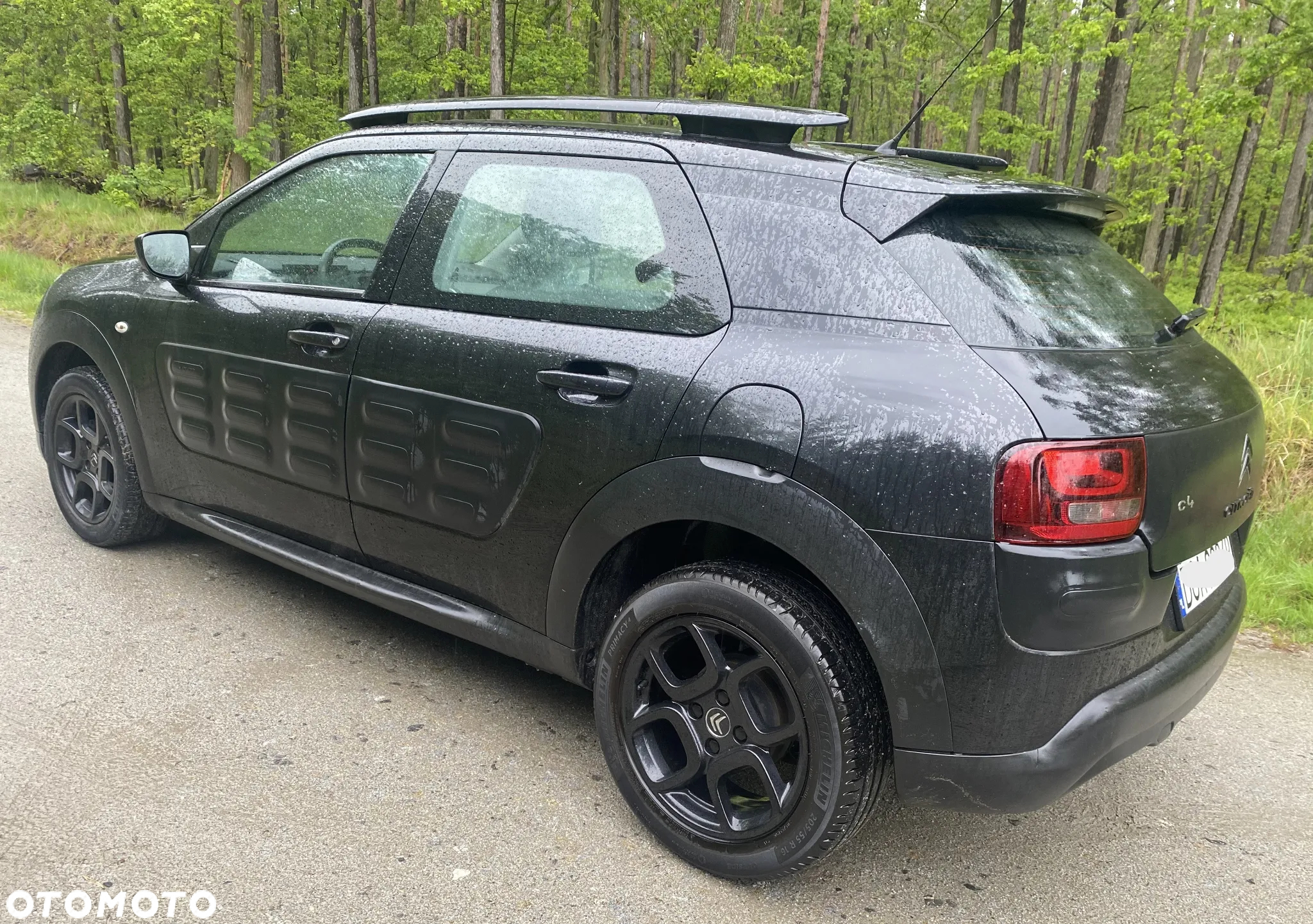 Citroën C4 Cactus - 7