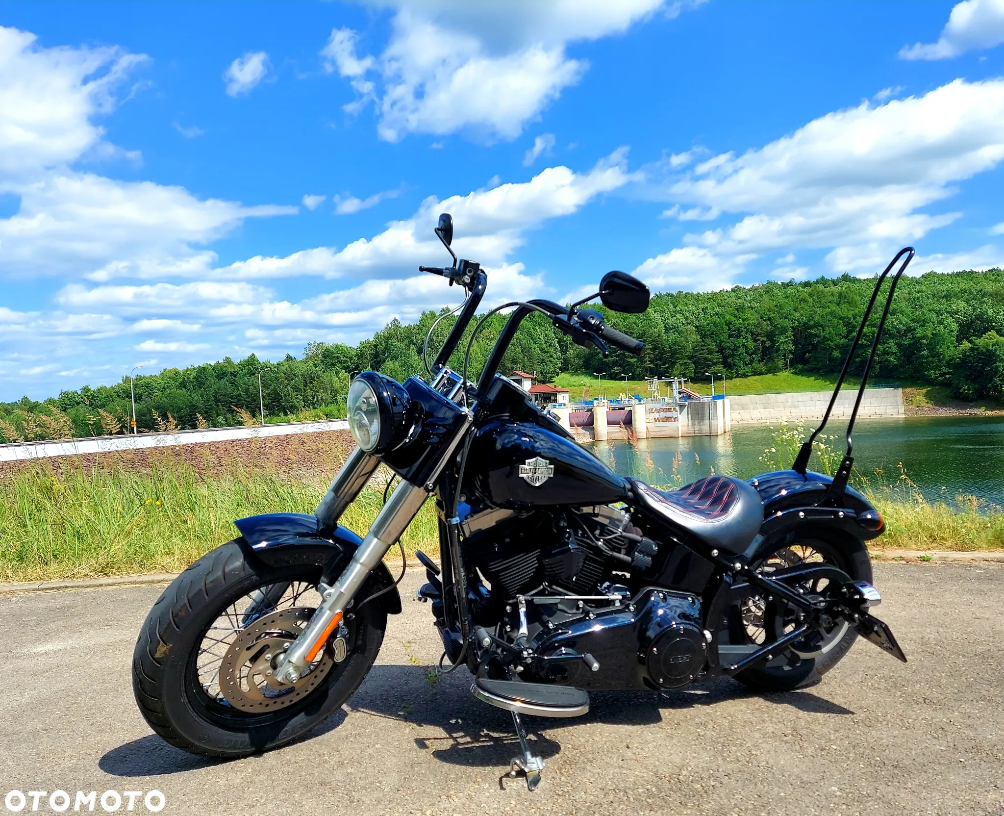 Harley-Davidson Softail Slim - 9