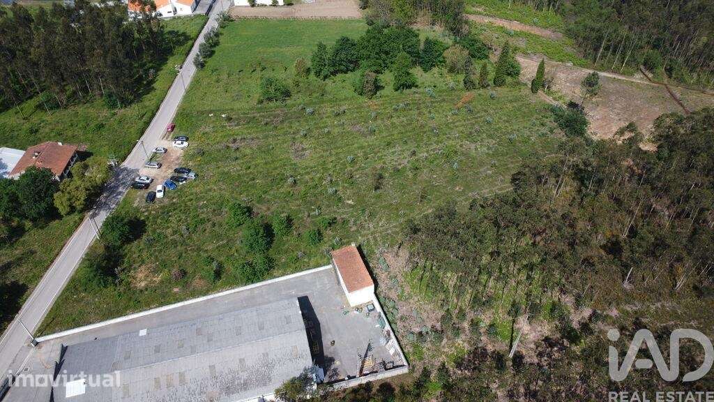 Terreno Agrícola em Sangalhos - Grande imagem: 2/6