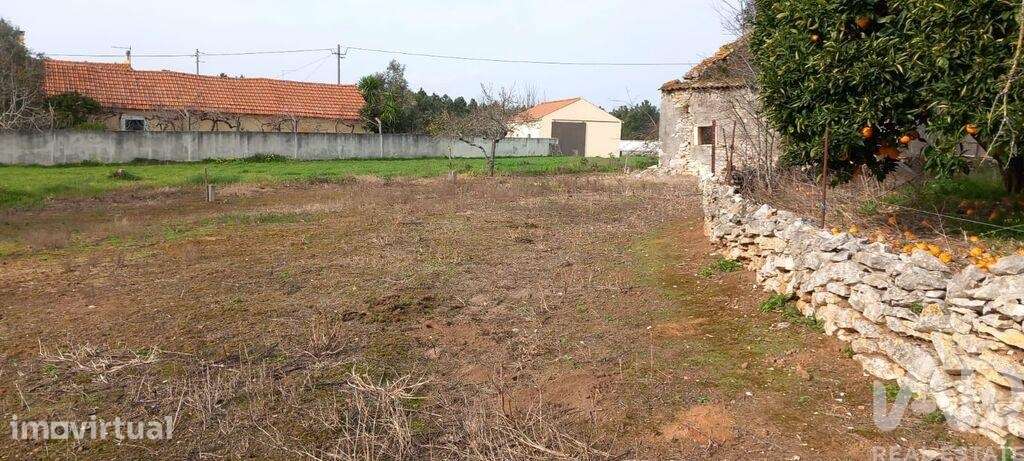 Terreno misto em Aljubarrota - Grande imagem: 4/13