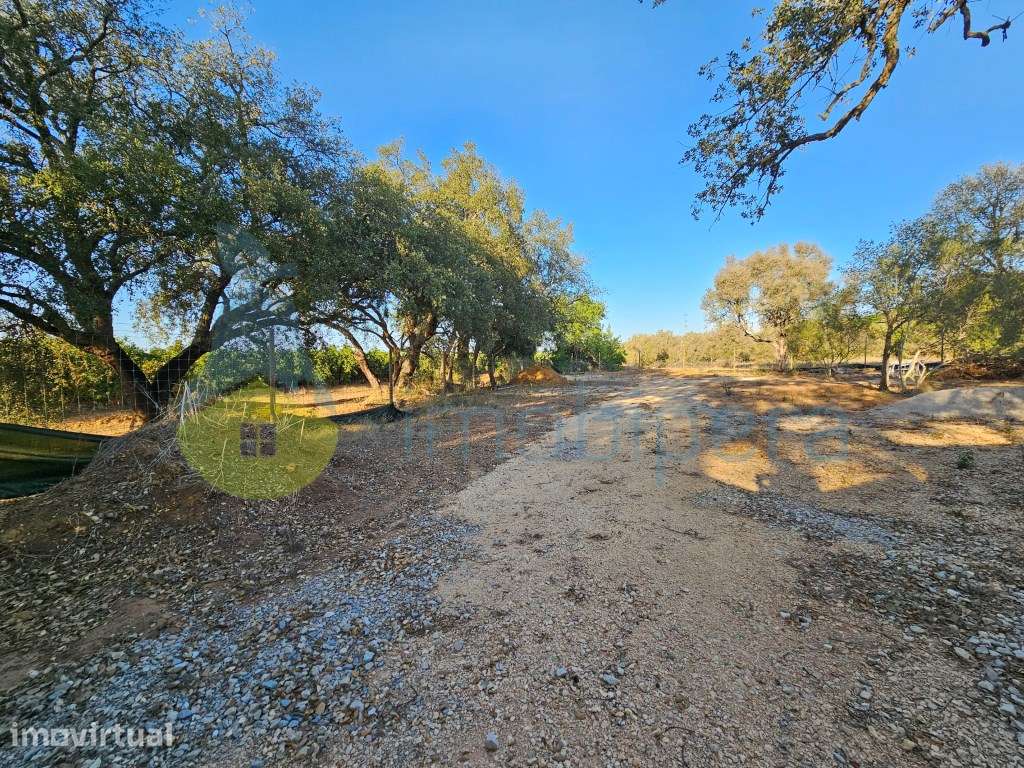 Terreno fértil em zona rural, para agricultura, projeto florestal, ... - Grande imagem: 2/18