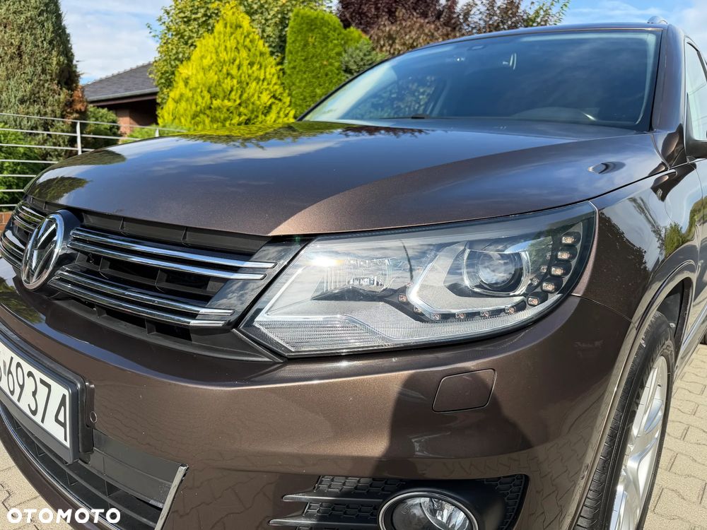 Volkswagen Tiguan - 22