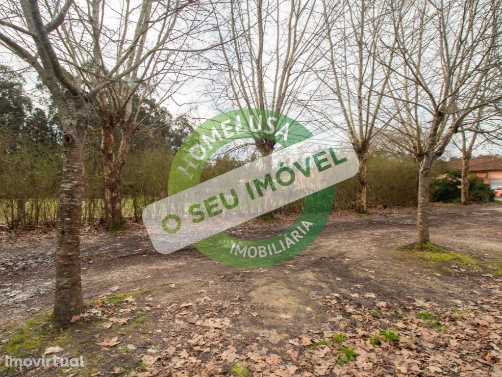 Lote Terreno - Grande imagem: 3/17