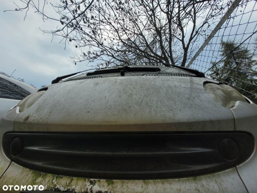 Atrapa grila Smart Fortwo - 1