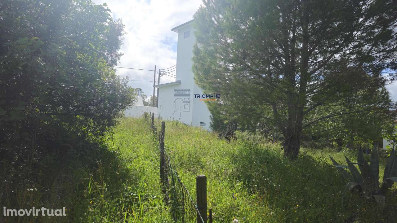 Terreno Rústico Urbanizável, Paialvo, Tomar - Grande imagem: 4/11