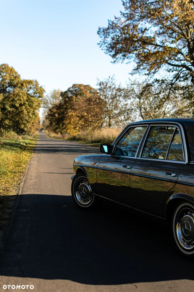 Mercedes-Benz W123 - 11