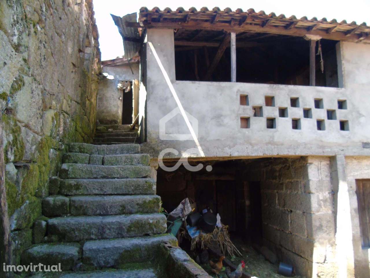 Casa Típica em Limões - Ribeira de Pena - Grande imagem: 2/29