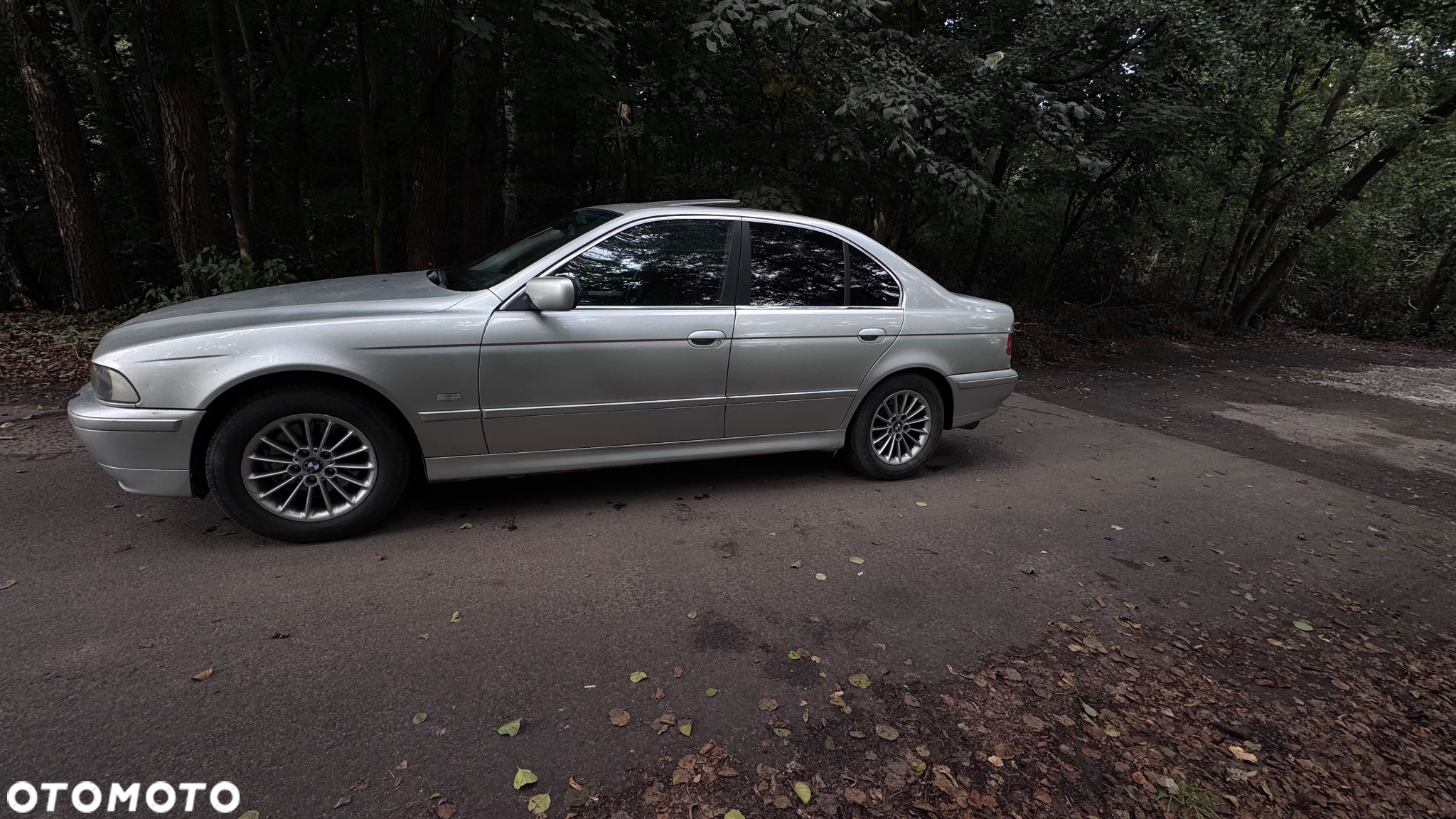 BMW Seria 5 - 2
