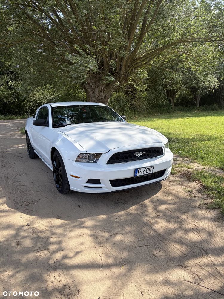 Ford Mustang 3.7 V6 - 16