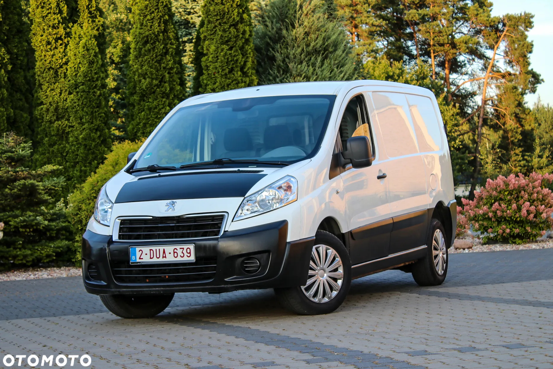Peugeot Expert - 12