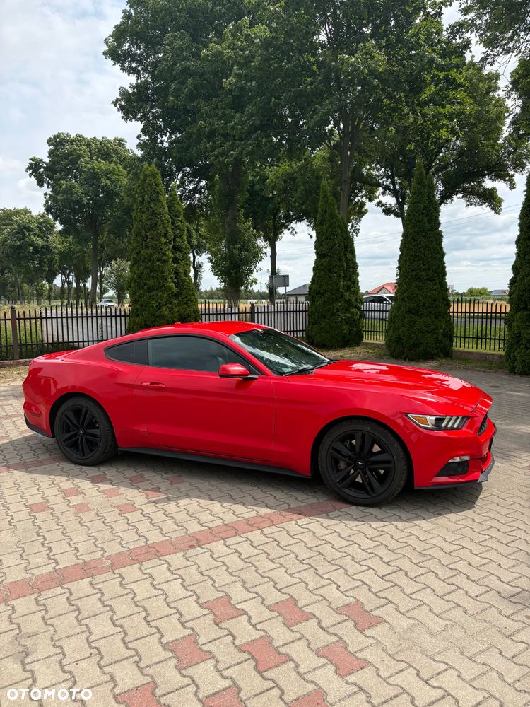 Ford Mustang - 3