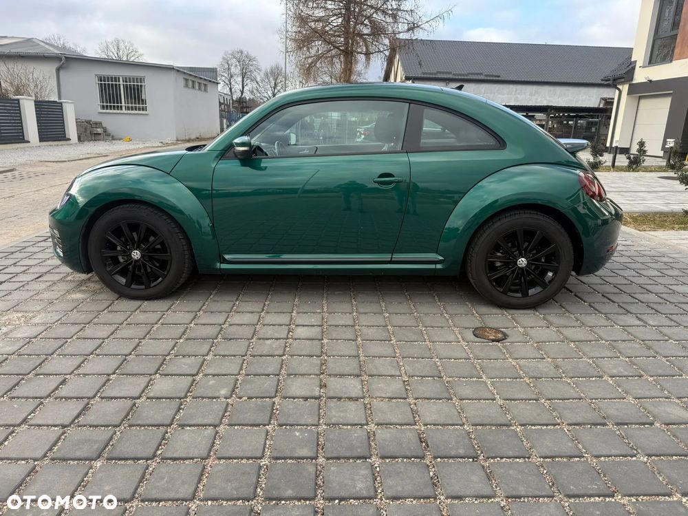 Volkswagen Beetle - 4