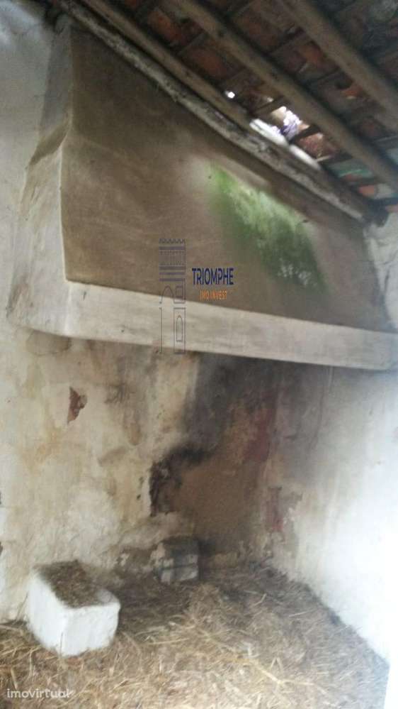 Ruína no Carvalhal, Tomar - Grande imagem: 3/4