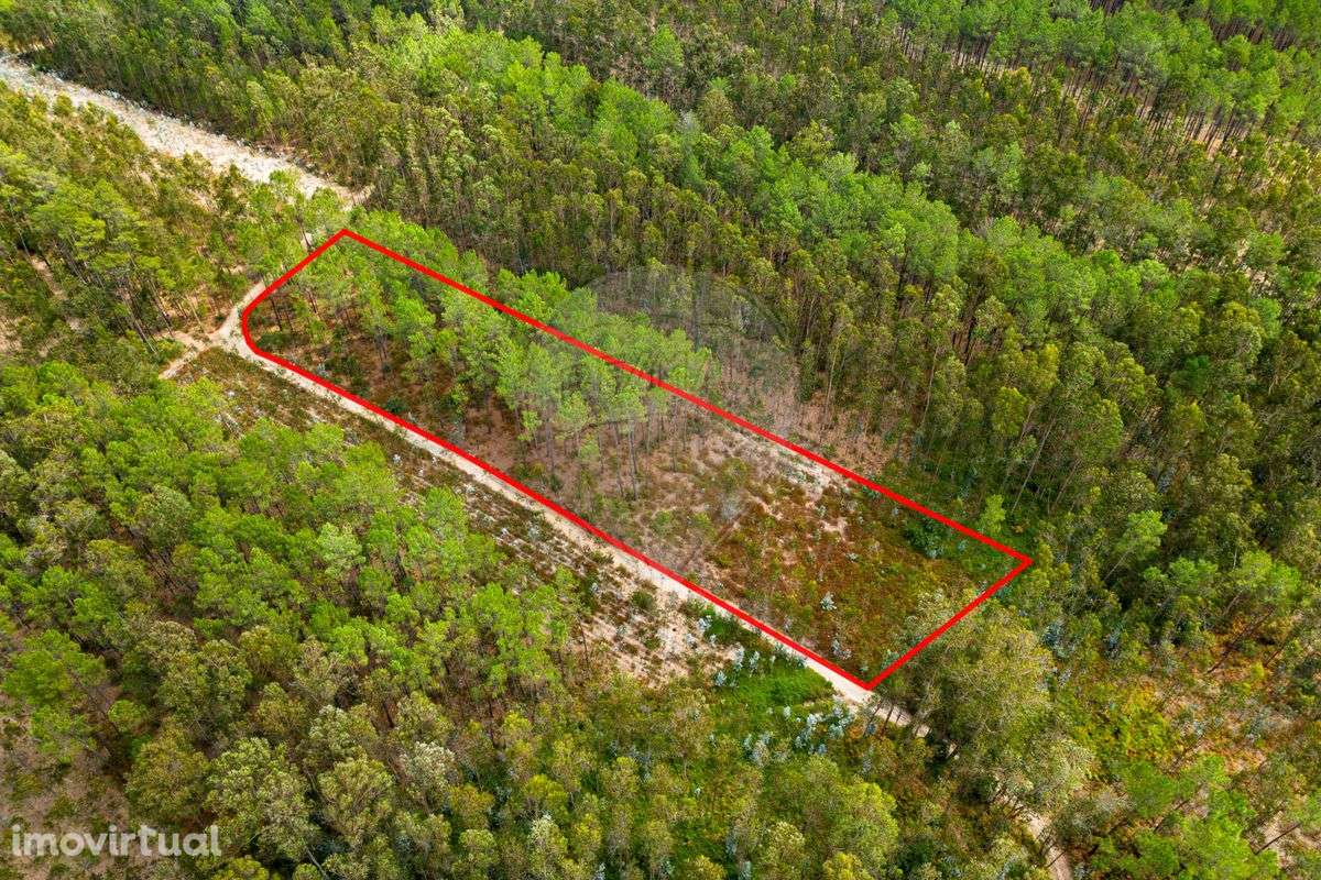 Terreno  para venda - Grande imagem: 3/9