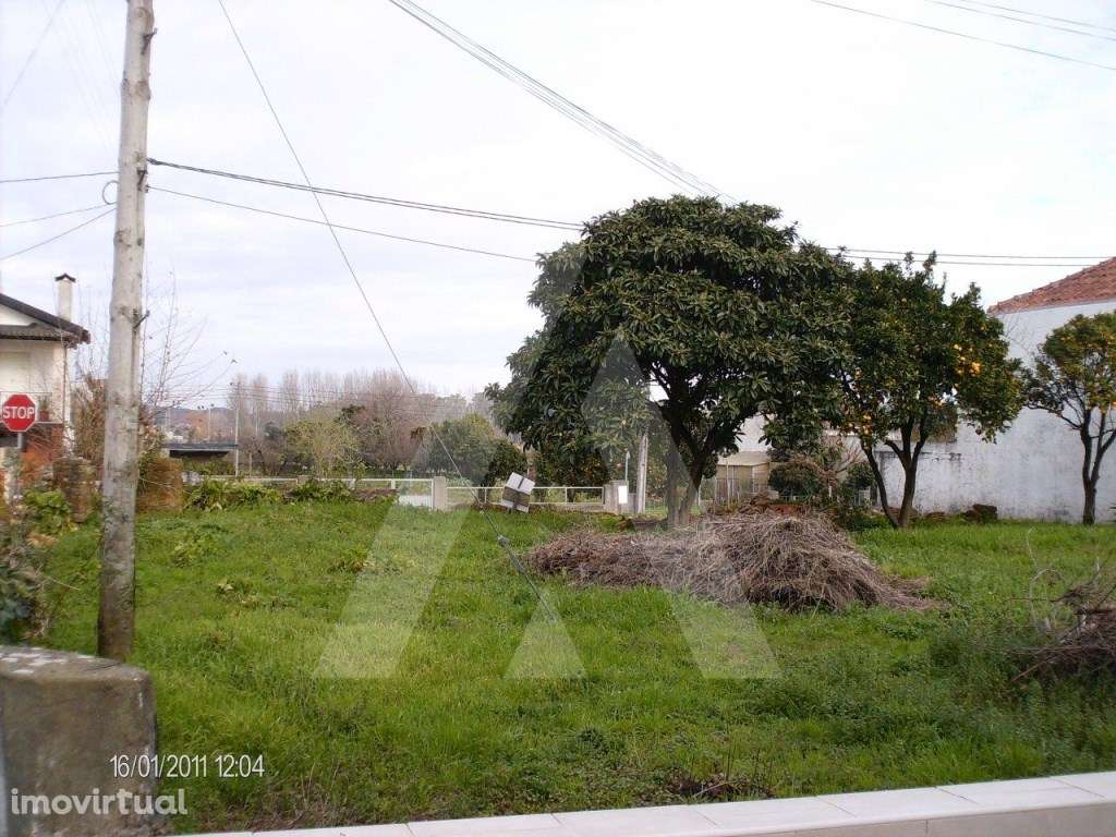Terreno localizado em Troviscal e Mamarrosa - Grande imagem: 3/4