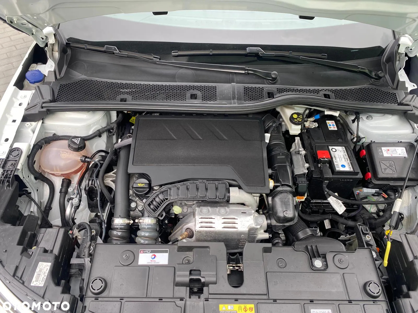 Citroën C4 PureTech 130 Stop&Start EAT8 SHINE - 26
