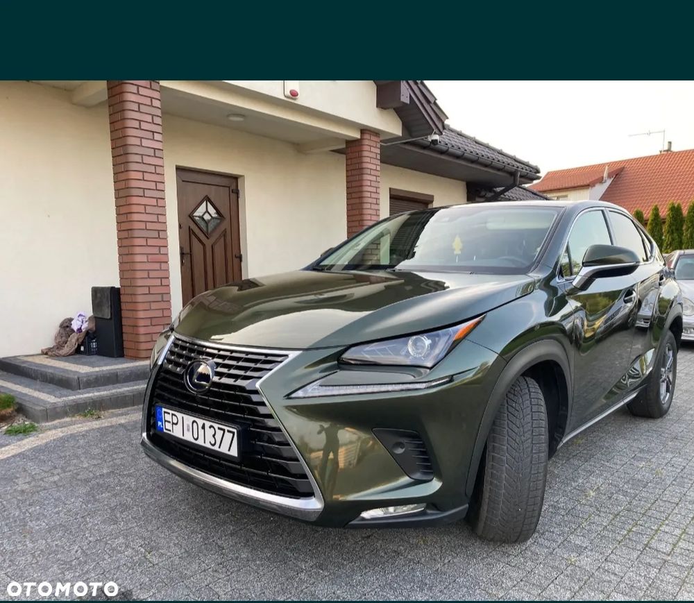 Lexus NX - 15