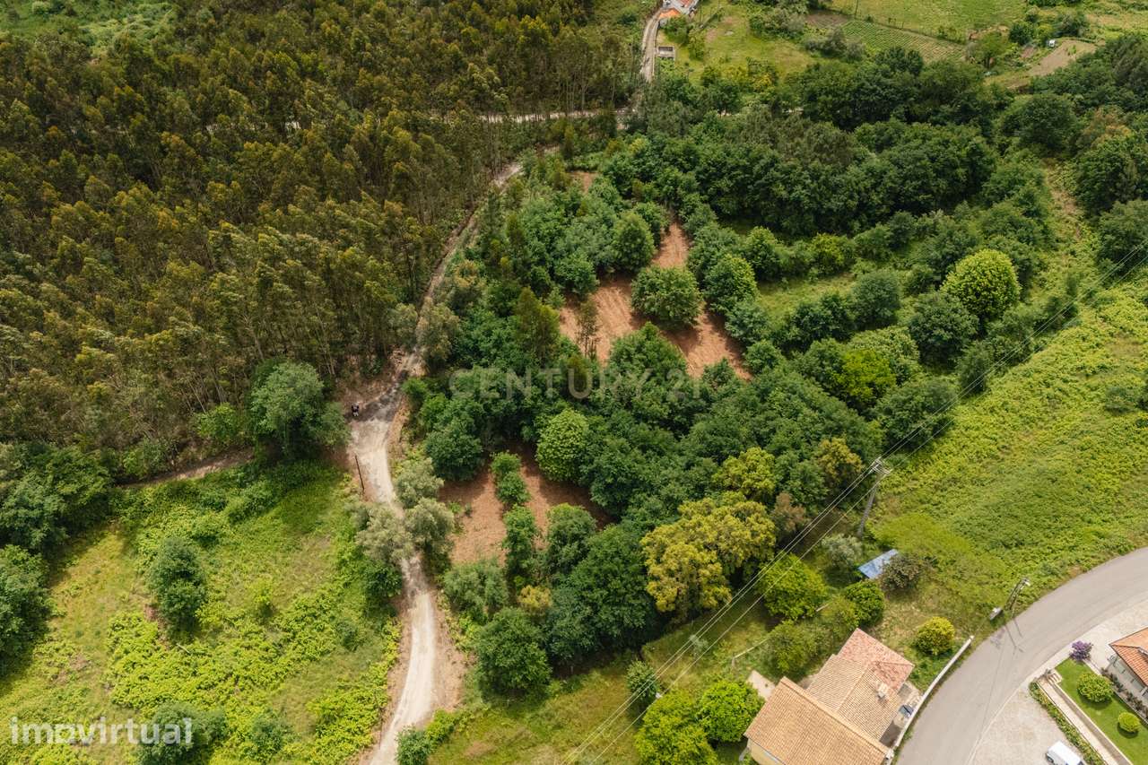 Terreno Rústico com 4.700 m² junto à Ecopista do Vouga – Arcozelo das - Grande imagem: 2/16