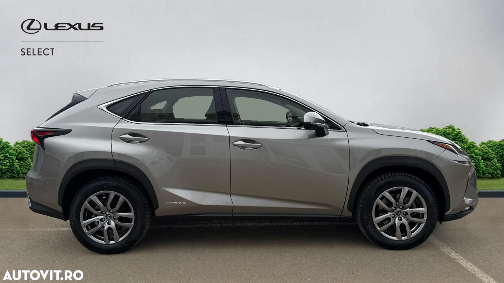 Lexus Seria NX 300h AWD Executive Plus - 5