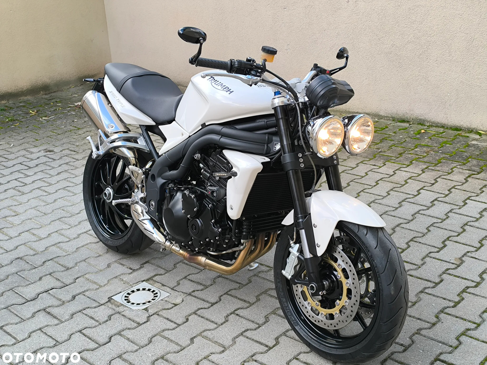 Triumph Speed Triple - 31