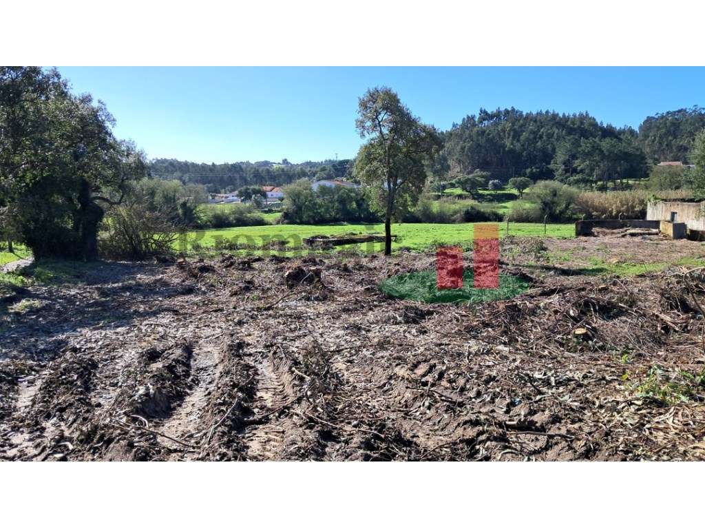 Terreno Misto Asseiceira***RIOMAGIC*** - Grande imagem: 4/4