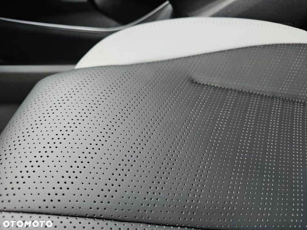 BYD Dolphin Surf - 24