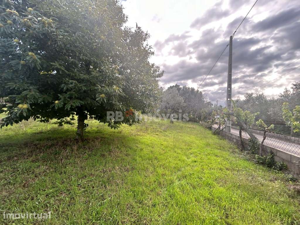 2 Terrenos Rústicos com PDM - Carril, Ferreira do Zêzere - Grande imagem: 2/21