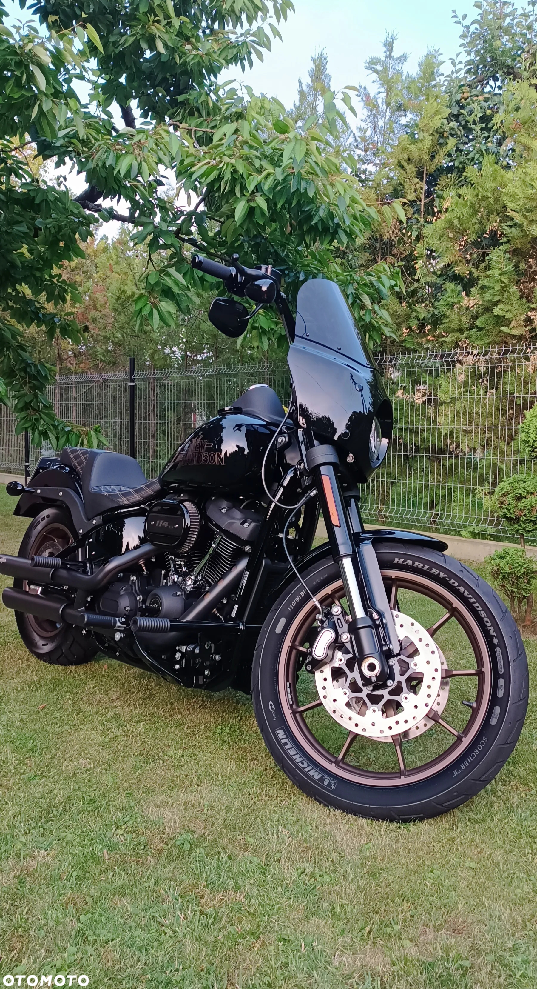 Harley-Davidson Softail Low Rider - 2