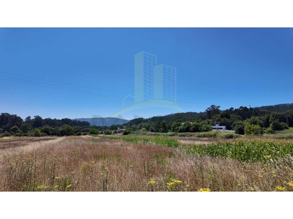 Terreno plano com 1470m2 e frente para duas ruas - Grande imagem: 4/15