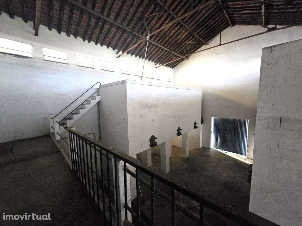 Antiga Adega com Grande Potencial no Centro de Campo Maior - Grande imagem: 5/15