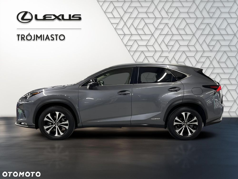 Lexus NX 300h F Impression AWD - 2