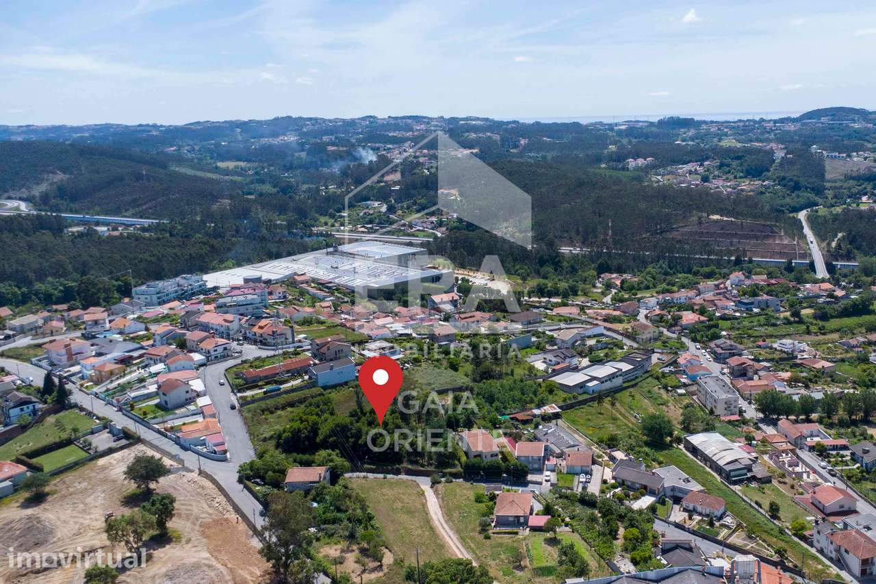 Terreno com Potencial Urbano em Olival - Grande imagem: 2/5