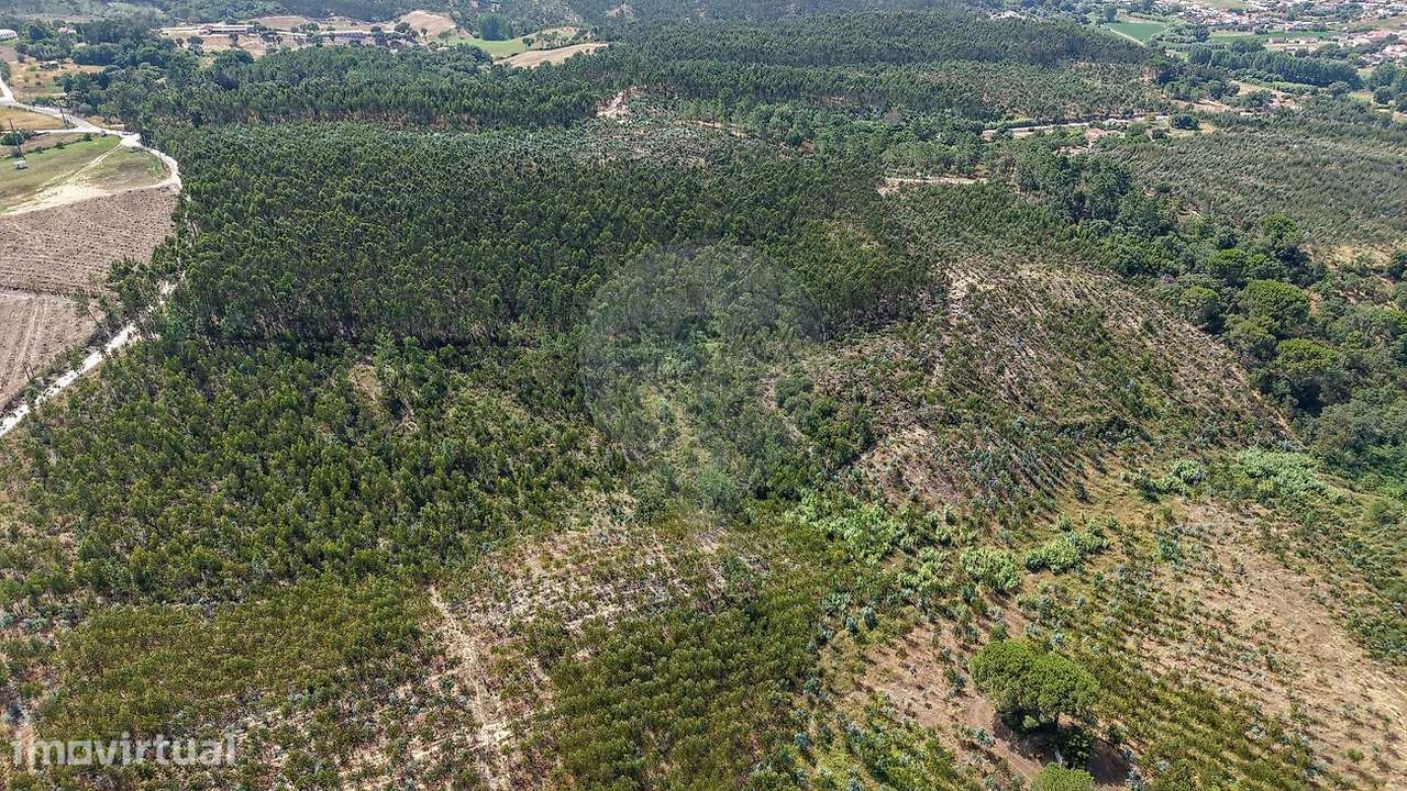 Terreno  para venda - Grande imagem: 3/18