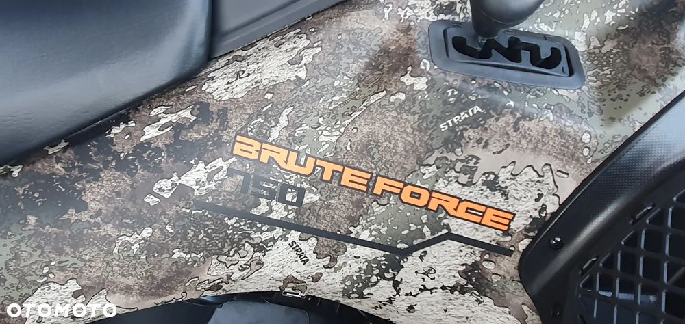 Kawasaki Brute Force - 17