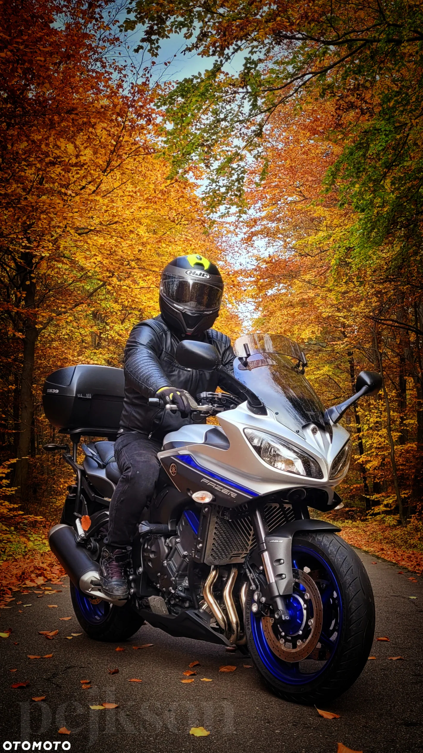 Yamaha FZ8 - 26